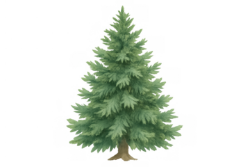 Green fir tree on transparent background, symbolizing nature, forest, christmas, and winter holidays