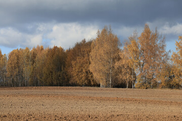 Autumn trees nature landscape, changing seasons photo