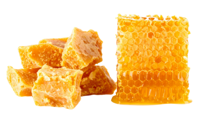 Organic beeswax honeycomb collection showcasing golden texture isolated on transparent background