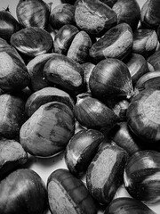 Freshly picked chestnuts, in a container, ready to be cooked.