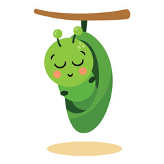 Cute green caterpillar sleeping inside a green chrysalis hanging from a brown branch with a soft tan shadow beneath against a white background