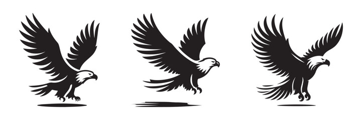 Fototapeta premium Soaring Eagles: A Trio of Majestic Birds in Flight.
