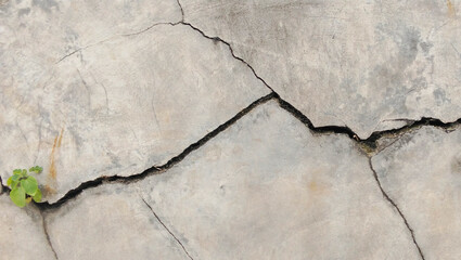 Obraz premium Cracked concrete walls show natural patterns and deep cracks.