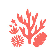 Beautiful Coral Elements Scattered Flat Lay on a White Background