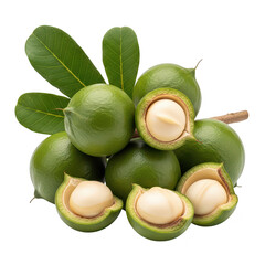 A cluster of green macadamia nuts, some opened to reveal the creamy white kernel inside, with leaves isolated on transparent background