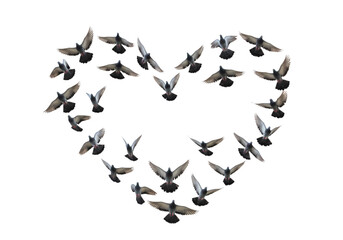 Doves form heart shape, symbolising love and peace