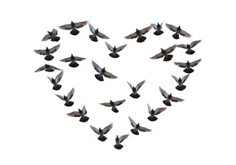 Romantic heart made of doves flying together