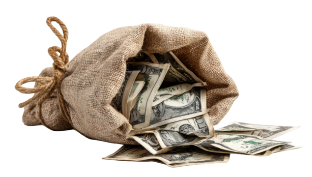 Sack of Money - Powered by Adobe