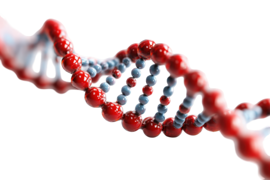 3D rendering of a DNA double helix.  A scientific illustration