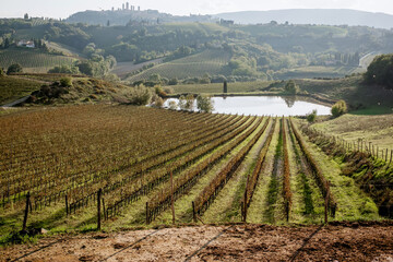 Scenic view of autumn vineyard rows with a reflective pond and rolling hills in the background, Tuscany countryside landscape