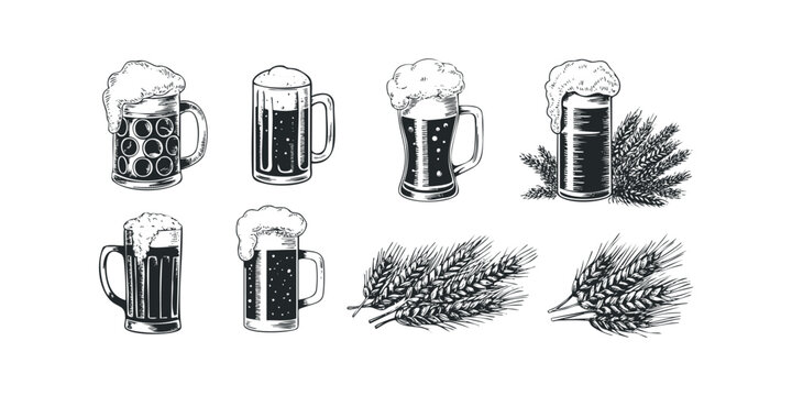 Naklejki Collection of Hand Drawn Beer Mugs and Wheat Stalks