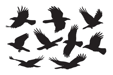 black crow silhouette bundle collection