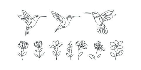 Naklejka premium Three Hummingbirds in Flight with Simple Floral Elements