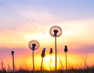 Silhouette of dandelions releasing seeds against a vibrant sunset sky. The focus is on the fluffy seed heads and the warm colours