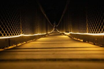 Ponte bridge stayed bridge in city