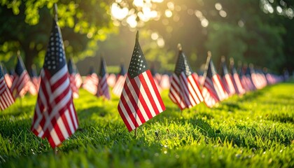 Grassy field with rows of small American flags fluttering in sunlight for editorial patriotic photography commemorative design and poetic remembrance-themed visuals