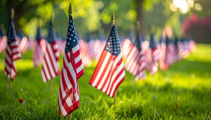 Grassy field with rows of small American flags fluttering in sunlight for editorial patriotic photography commemorative design and poetic remembrance-themed visuals