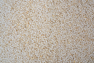 Close-up of white sesame seeds creating textured background. Ideal for Asian cuisine, vegan, clean food concepts. 
