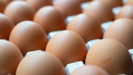 Fresh organic brown chicken eggs in cardboard tray