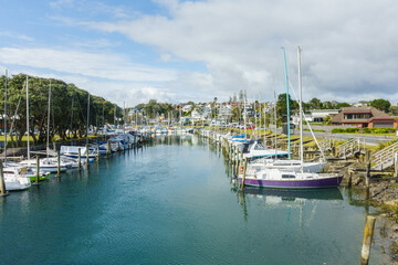 Boats berthed at Milford Marina. Milford. Auckland.