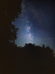 Milkyway above the trees.