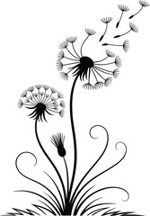 Black and White Dandelion Illustration Silhouette Vector Art.
