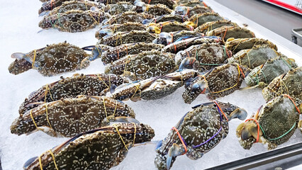 Fresh Seafood Display: A vibrant display of freshly caught crabs, meticulously arranged, inviting...