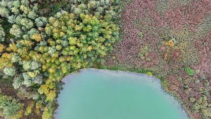 A bird's-eye view of the coastline with turquoise waters and dense green forests, creating a vivid contrast. High quality photo