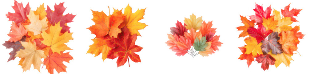 Fototapeta premium Autumn's Colorful Canopy: A captivating display of vibrant autumn leaves showcasing the rich tapestry of nature's seasonal transformation, exhibiting the vivid hues and textures.