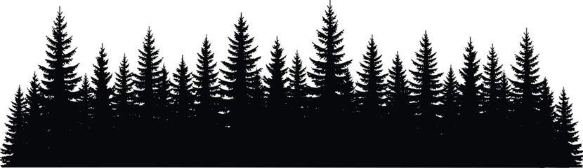 Dense pine forest silhouette, black and white nature vector art, coniferous tree landscape, wilderness scene for outdoor design © MstLovely
