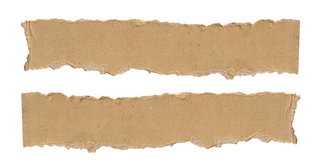 torn brown paper strips with rough edges isolated on white background