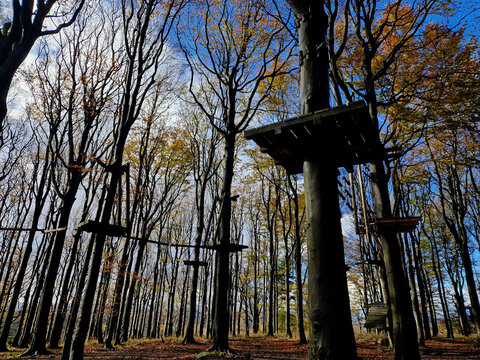 Climbing center, rope obstacle courses between treetops or rope ropes stretched from a pole and rope ladders high above the ground. fall protection with a climbing set and carabiner. adrenaline