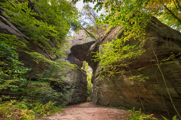 Rock City Park Olean New York, Giant Rock Formations and Scenic Overlook