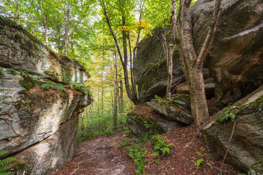 Rock City Park Olean New York, Giant Rock Formations and Scenic Overlook