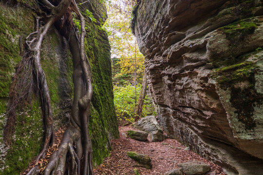 Rock City Park Olean New York, Giant Rock Formations and Scenic Overlook