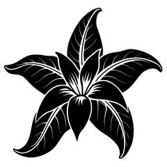 Elegant black silhouette of a stylized five petal flower with detailed leaf veins on a white background