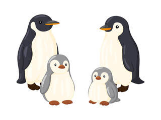 Penguin Family Two Adults and Two Chicks Illustration