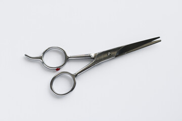 A sleek pair of professional-grade silver metal scissors, possibly for hair cutting or crafting, resting at an angle on a clean white background. 
