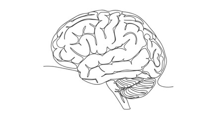 Anatomical illustration of the human brain drawn in one continuous single line art style for medical or scientific concepts