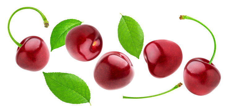 glossy, loose red cherries and scattered fresh green leaves captured mid-air, generating a vibrant, dynamic floating composition isolated on black.
