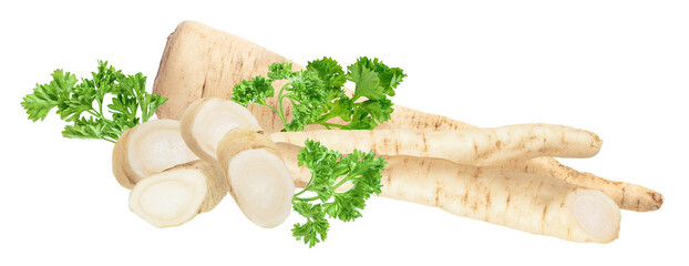 fresh parsley roots, whole and sliced, bundled together with aromatic green parsley herb leaves, isolated on a clean transparent background.
