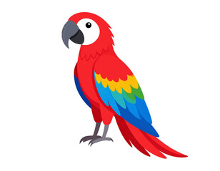 Fototapeta premium Papagei isoliert auf weißen Hintergrund, Freisteller 