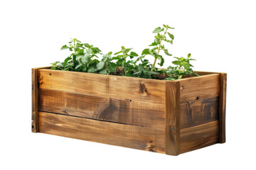 Plants in a wooden container on transparent background