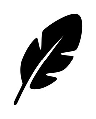 Feder Icon