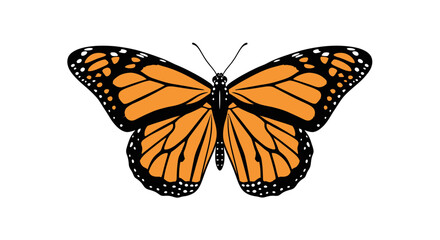 Naklejka premium Monarch Butterfly Isolated on White Background.