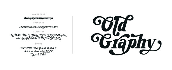 Elegant Font Uppercase Lowercase and Number. Classic Lettering Minimal Fashion Designs. Typography modern serif fonts regular decorative vintage concept. vector illustration