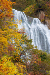 秋晴れの天人峡