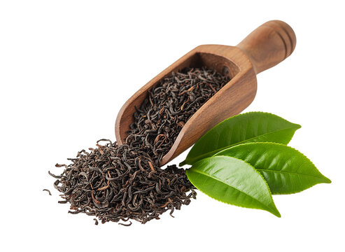 dried black tea on wooden scoop with fresh tea leaves isolated image