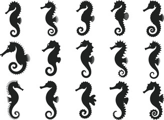 Seahorse silhouette collection, marine animal icons, curled tail, spiky body, ocean life symbols, black design set, flat vector illustration
