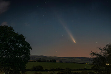 Long-exposure night shot of the Irish countryside with a bright comet and silhouetted trees. (C2023 A3 Tsuchinshan-ATLAS)